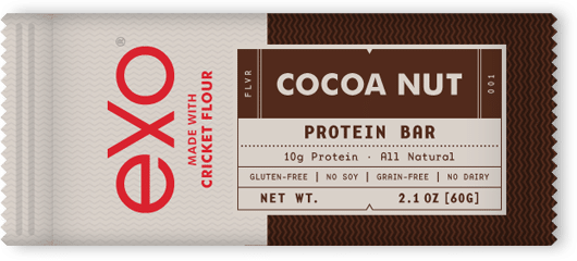 exo cricket flour protein bar