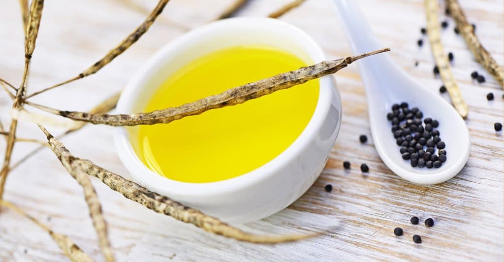 Is Canola Oil GlutenFree? No Gluten
